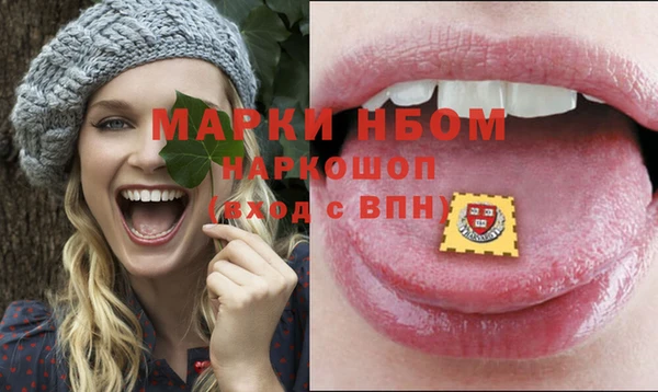 твердый Абаза