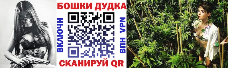 KRAKEN зеркало  Костерёво  Каннабис планчик 